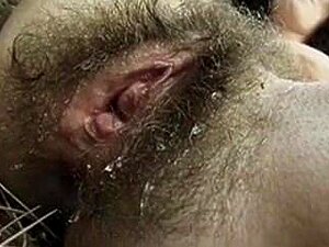 Mujeres peludas y elegantes en el bosque